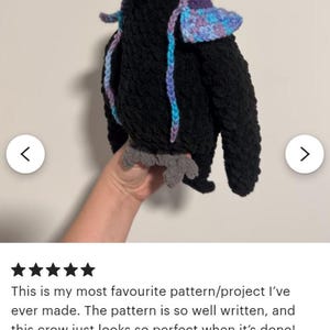 May include: A handmade crochet crow plush toy featuring a black body, a grey beak, and grey feet. The crow wears a purple hood with a blue and purple variegated trim that hangs down in two thin, braided-style cords along the front of the body.