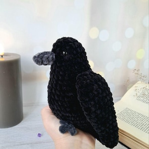 May include: A handcrafted crochet bird plush toy made from soft black yarn. The bird features a textured, velvety appearance, a small dark bead eye, and a contrasting dark grey beak and feet. The plush is designed with a rounded body and wings.