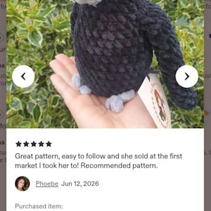 May include: A handmade crochet raven plush toy crafted from dark black yarn with a textured, fuzzy appearance. The bird features a light grey beak and matching light grey feet, with small black bead eyes and a white paper tag attached to its side.