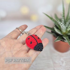 May include: A red and black crocheted ladybug keychain with black eyes. The keychain is attached to a silver key ring.
