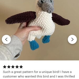 Crochet Bird Plush Pattern Blue-footed Booby, Amigurumi Sea Animal, western crochet decor image 11