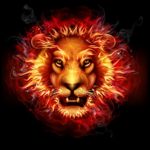 May include: A fiery lion's head with a mane of flames and smoke, set against a black background.