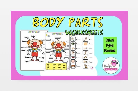 body parts kids activity preschool homeschool esl etsy