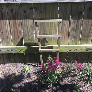 May include: A wooden trellis with a pink flower bush growing in front of it. The trellis is made of four wooden slats and is attached to a wooden fence. The flower bush is in full bloom and has many pink flowers.