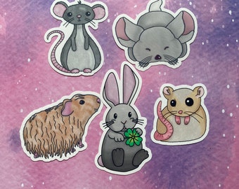 Pets Die Cut Stickers Kawaii Cute Handmade Digital Art Laptop Decal Illustrated Animals Adorable Mouse Fur Baby Chinchilla Rabbit Guinea Pig