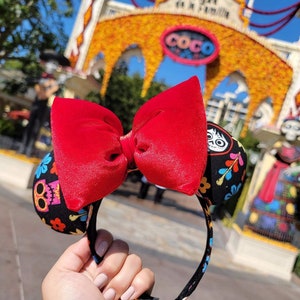 Coco Inspired Ears
