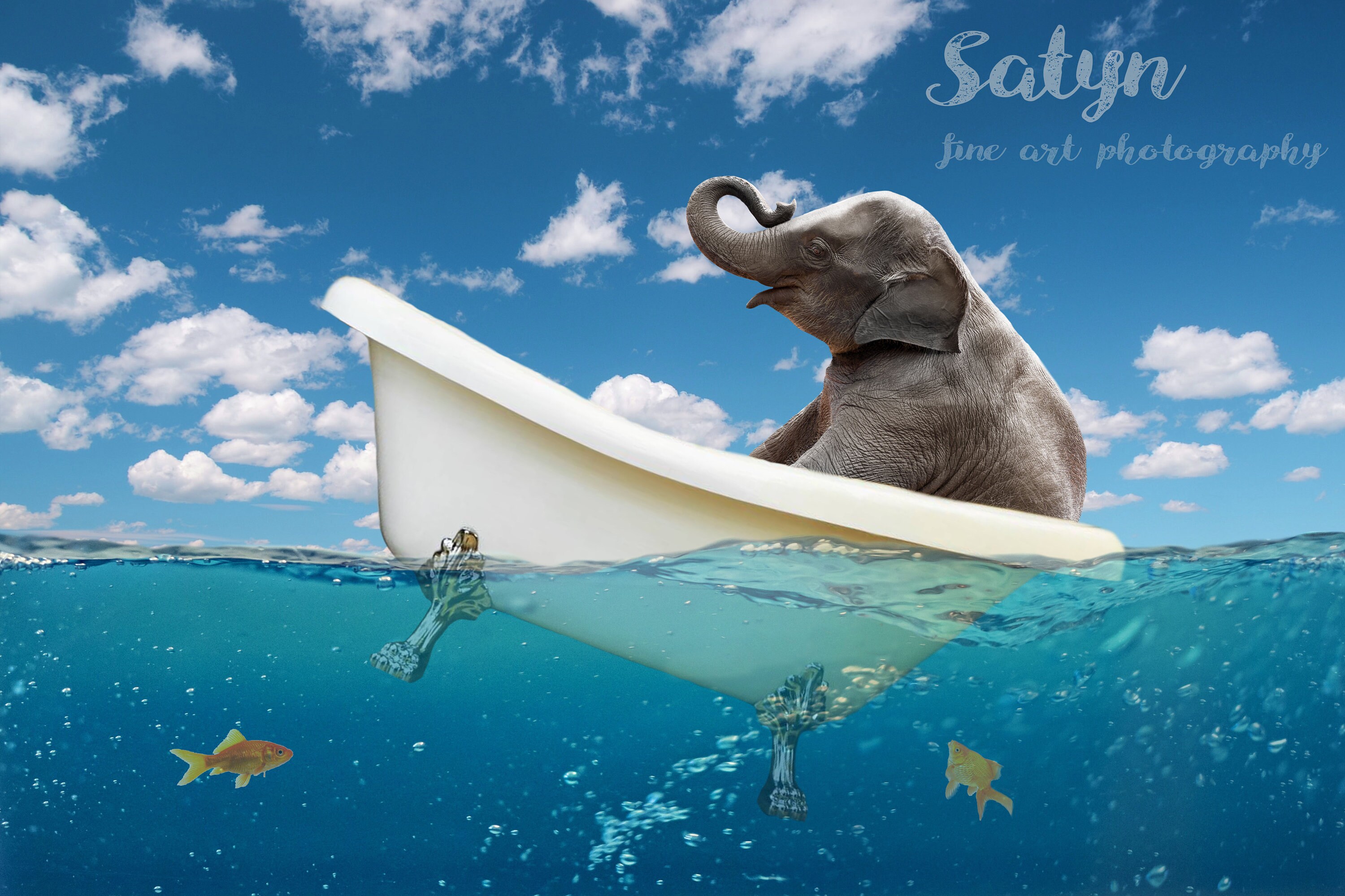 Elephant in Bath Boat at Sea Fun Elephant Digital Backdrop Etsy España