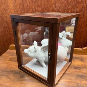 May include: A white ceramic pig figurine with wings inside a wooden display case with glass panels. The pig is standing on a light grey surface. The display case has a dark brown wooden frame and is closed.