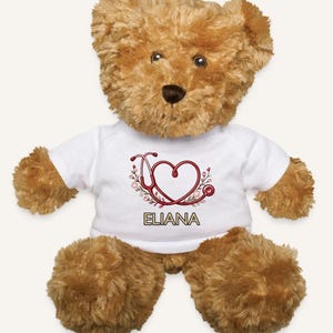 Personalized Nurse Teddy Bear, Custom Name Plush Gift for Nurses, Stethoscope Heart Stuffed Animal, Nursing School Keepsake, Graduation Gift