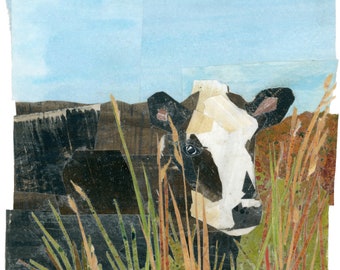 Giclée Art  Print - Field Cow Nestled in Grass