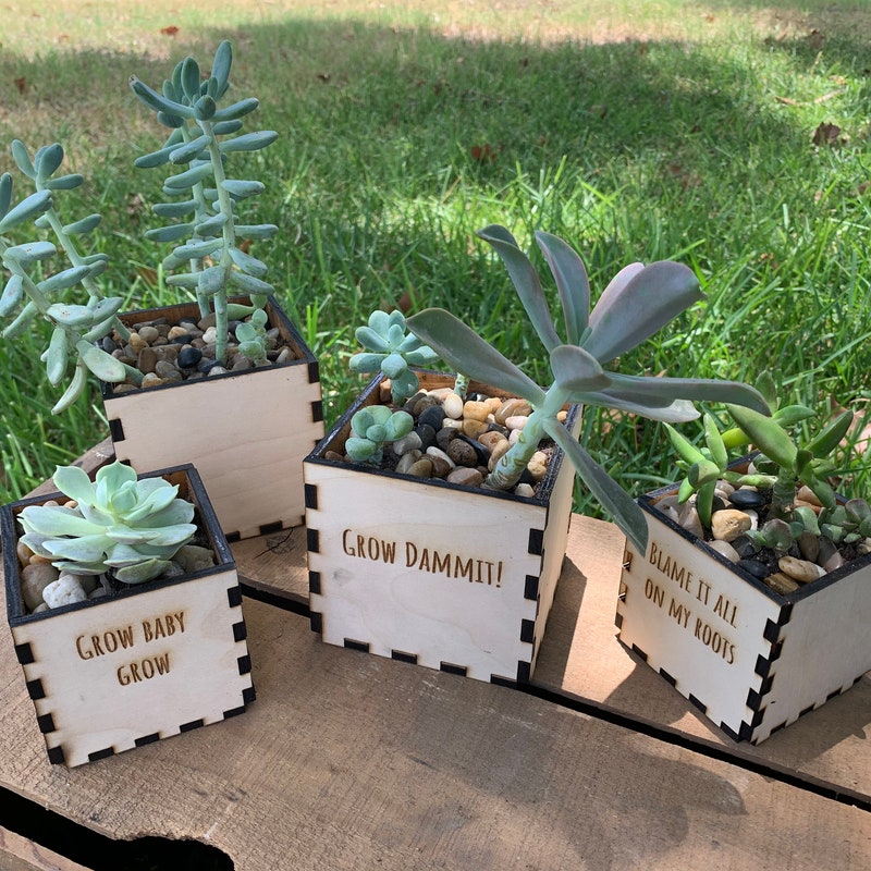 Succulent Planter Box - Etsy