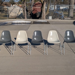 May include: Five mid-century modern chairs with molded plastic seats and metal legs are arranged in a row on a concrete surface. The chairs alternate between dark gray and off-white. The scene is outdoors on a sunny day.