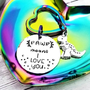 Rawr Means I Love You Dinosaur Backpack Tag: Dino Lover Gift