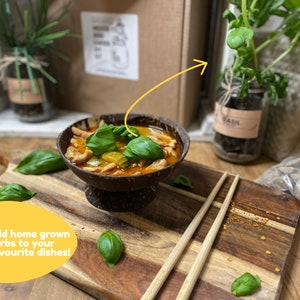 May include: A bowl of red curry with chicken and vegetables, garnished with fresh basil leaves. A potted basil plant, chopsticks, and a bag of small stones are also in the image. The text "Add home grown herbs to your favourite dishes!" is on a wooden chopping board.