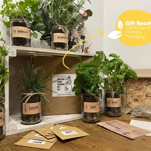 May include: A DIY indoor herb garden kit with six glass jars containing growing herbs, including parsley, rosemary, chives, coriander, mint, and basil. The kit includes seed packets and instructions. The packaging is 100% planet friendly.