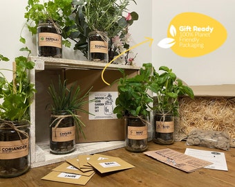 Grow Your Own Herbs Kit - Eco Friendly Indoor Planters, Garden Gift Set of 2-6. - Mint, Basil, Coriander, Chives, Parsley, Rosemary