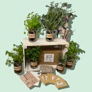 Indoor Herb Garden Grow Your Own Kit - Eco Care Hamper Gift for her or him. Perfect for beginners as a birthday gift or for Christmas