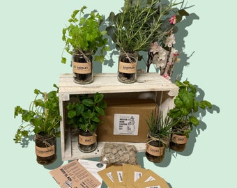 Indoor Herb Garden Grow Your Own Kit - Eco Care Hamper Gift for her or him. Perfect for beginners as a birthday gift or for Christmas
