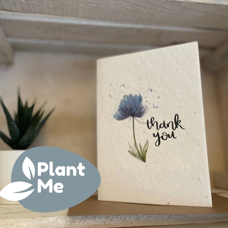 Tarjetas de agradecimiento plantables Tarjetas de semillas A6 Regalo ecológico con tarjeta Plantar un árbol imagen 1