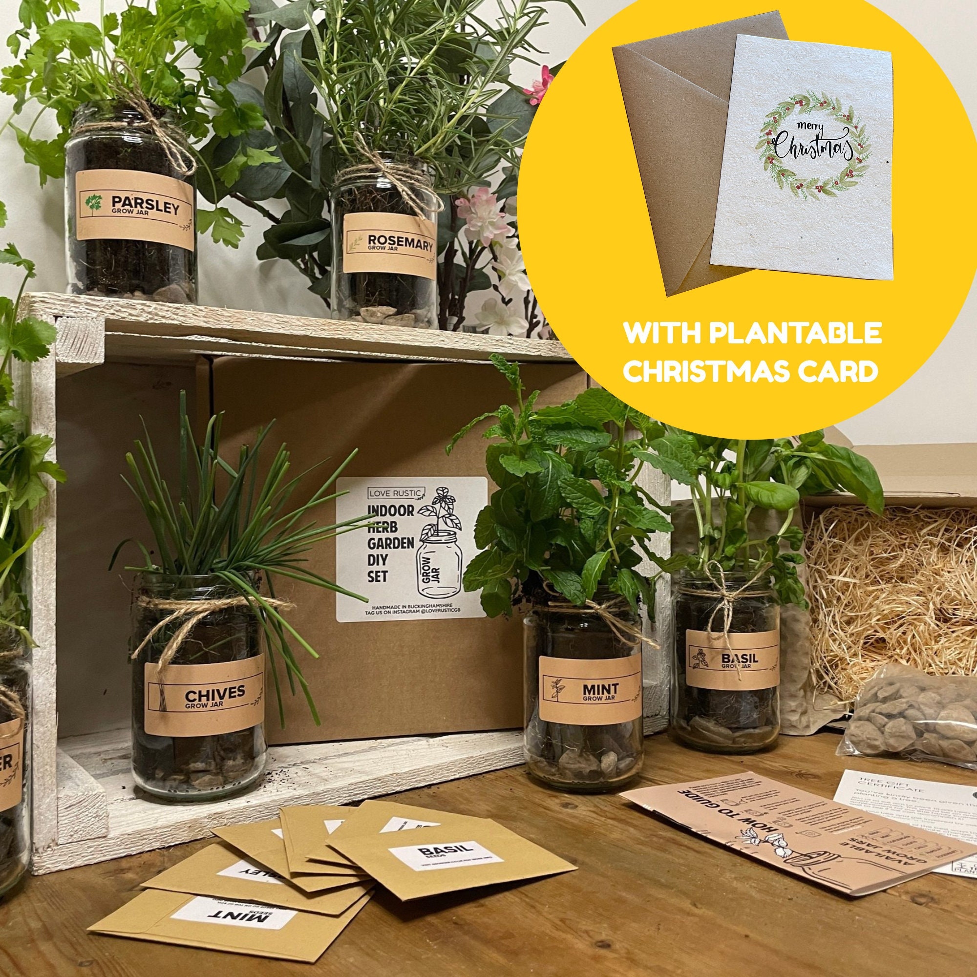 Grow Your Own Herbs Christmas Set - Eco Friendly Indoor Planters, Garden  Gift Set of 2-6. - Mint, Basil, Coriander, Chives, Parsley, Thyme - Etsy