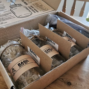 May include: A cardboard box containing four glass jars with seeds for growing basil, chilli, and mint. The jars are labelled with the plant names and "Grow Jar".
