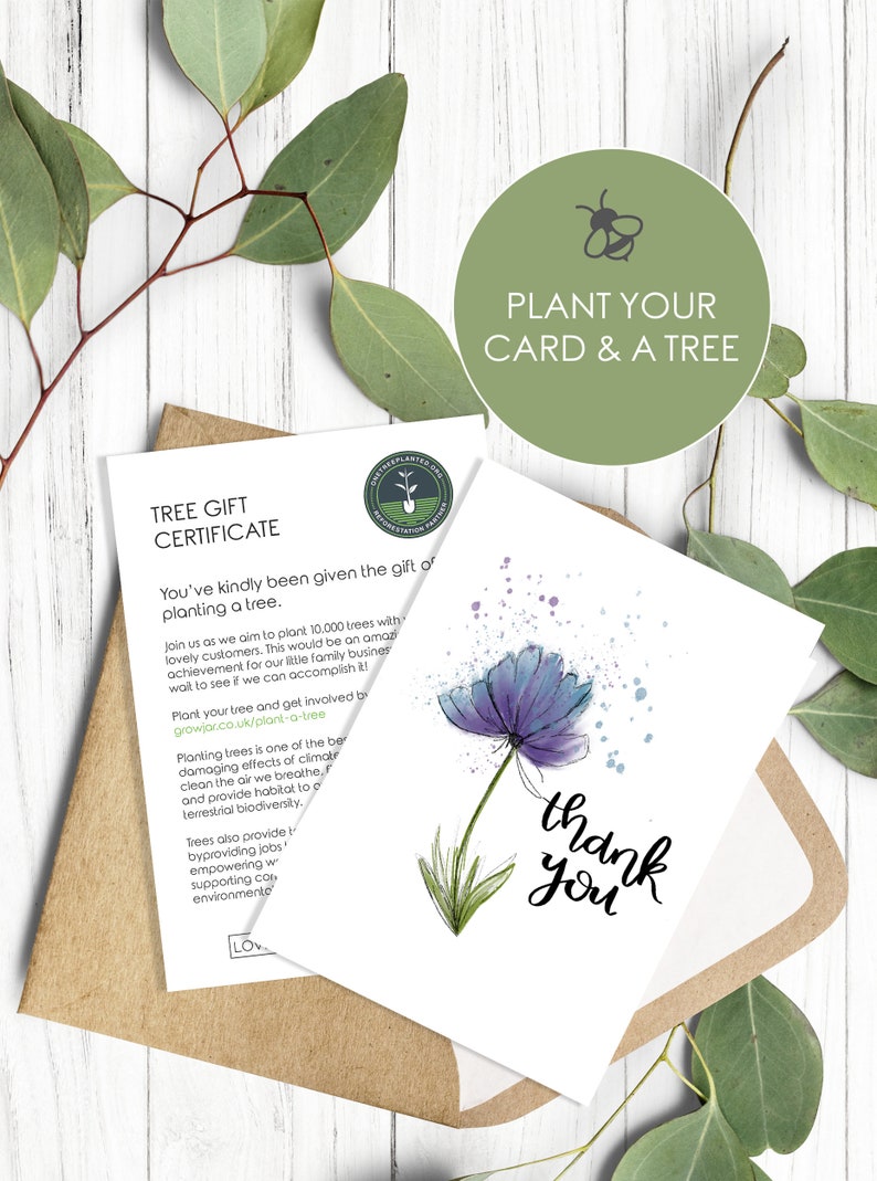 Plantable Thank You cards A6 Seed Cards Eco Friendly Gift with Plant a Tree Card image 2