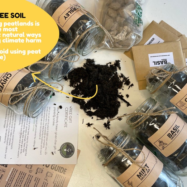 Indoor Planters, Eco Friendly Garden Gift Set of 2-6. Grow Your Own Herb Garden - Mint, Basil, Coriander, Chives, Parsley, Rosemary
