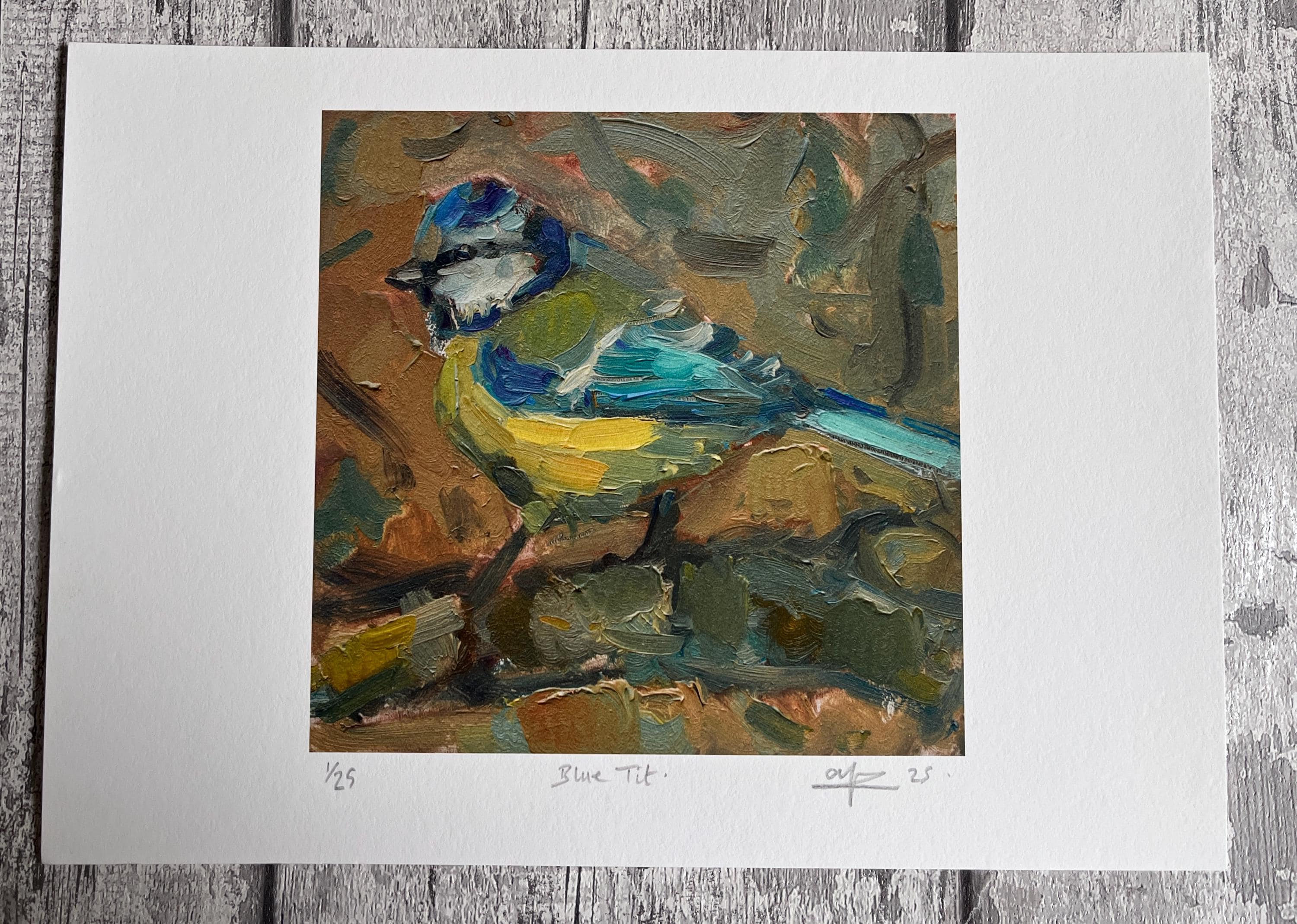 Blue Tit Giclée Print | Limited Edition Bird Wall Art | Signed Fine Art by Andrew Farmer | Wildlife Oil Painting | UK Artist