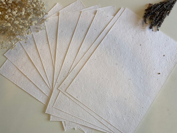 Plantable Basil Seed Paper | Sustainable | Handmade | Upcycled Cotton