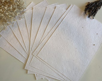 Wholesale Seeded Paper Wildflower / Card Plain - Eco Friendly Print at Home Craft Paper with Wildflower Seed Mix