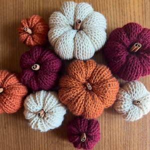 May include: Nine knitted pumpkins in various colors, including white, orange, red, and burgundy. Each pumpkin has a cinnamon stick stem.