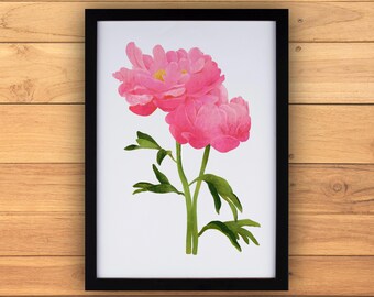 Peonies Art Print