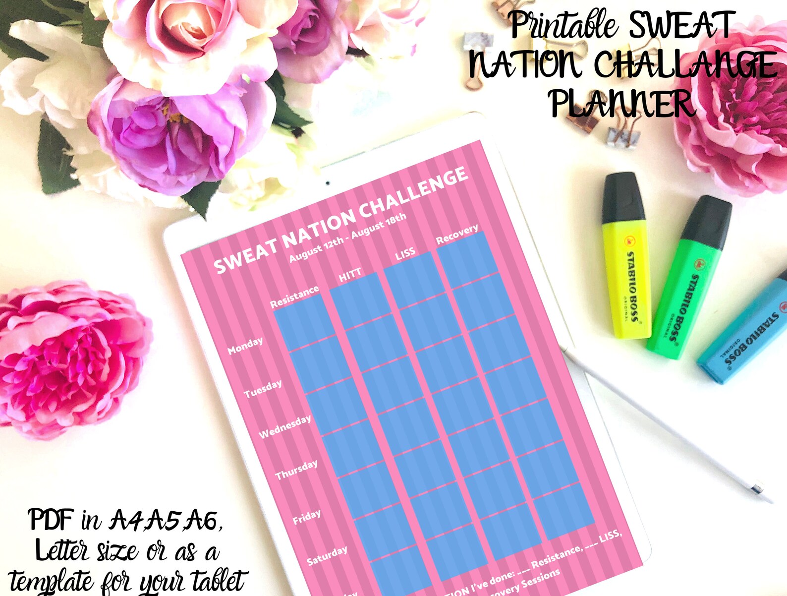 SWEAT NATION Challenge Planner BBG Sweat App 5 Pages Etsy