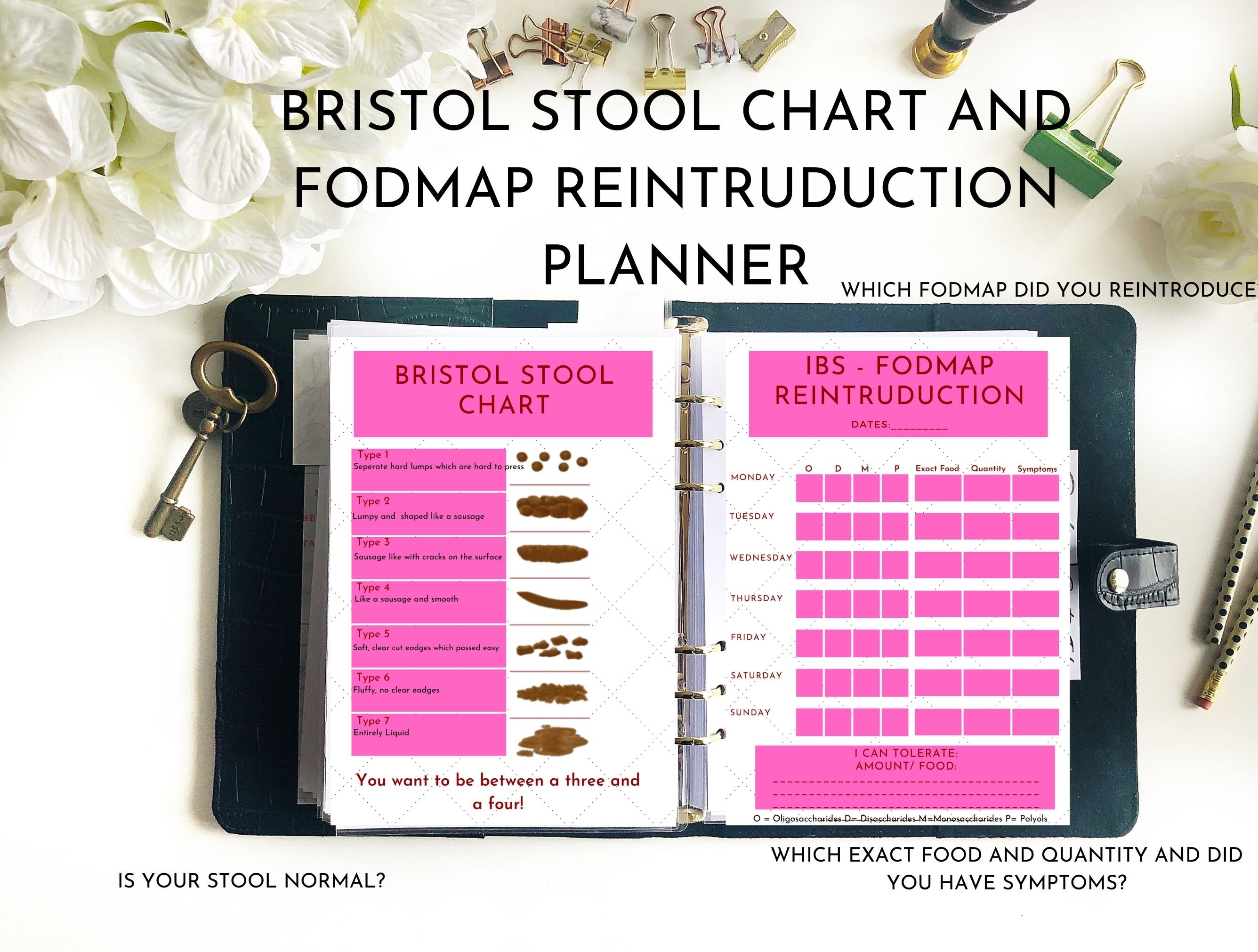 IBS Tracker Bundle PDF A4, A5, A6, Letter Size or Template for Ipad ...