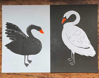 Two Sides of Swans Riso Print