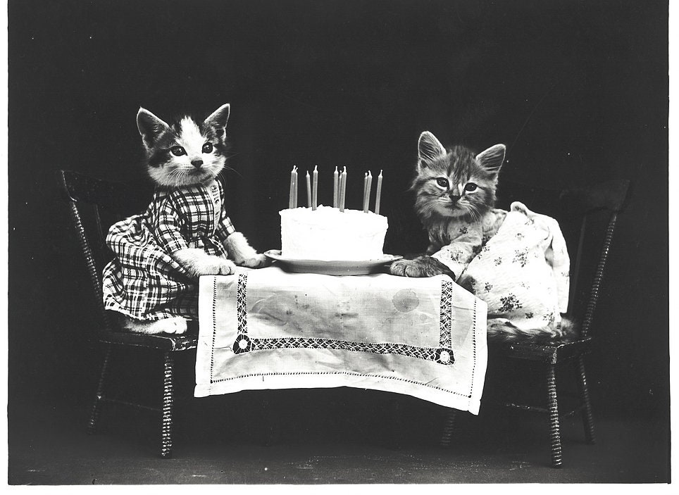 Printable Cute Cat Birthday Card - Etsy