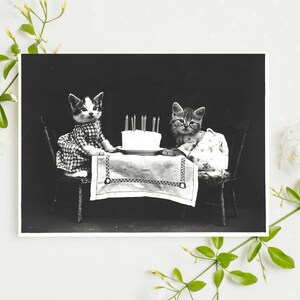Printable Cute Cat Birthday Card