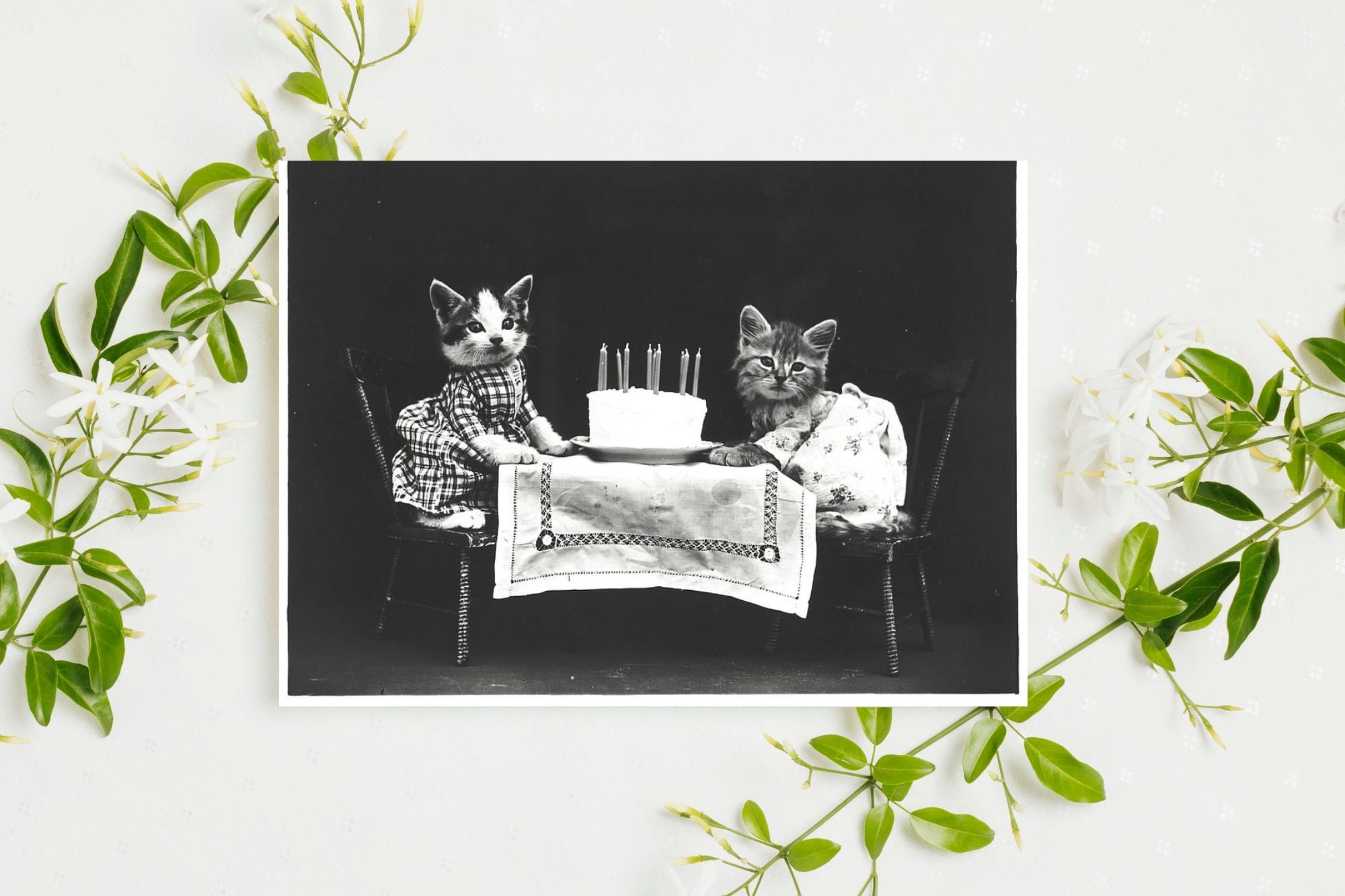 Printable Cute Cat Birthday Card - Etsy