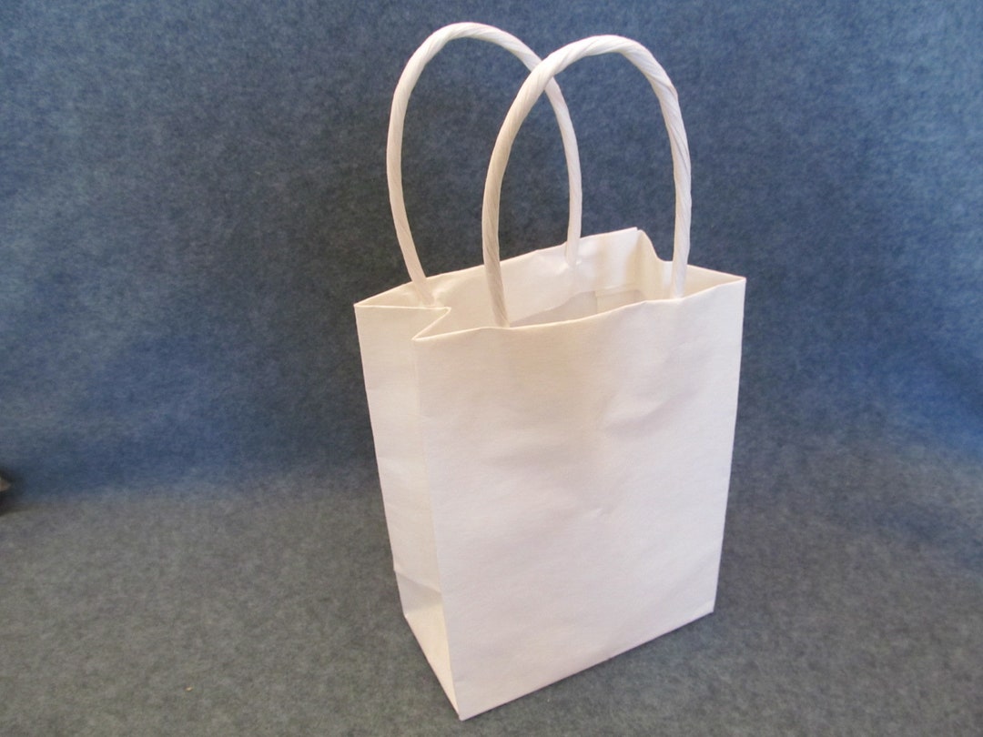 Package of Small White Gift Bags, Decorate as You Wish, Great Kids