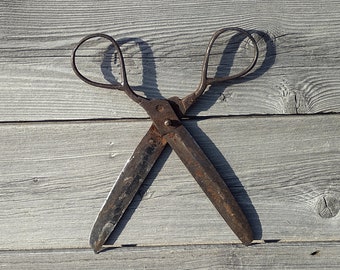 Vintage Rusty Scissors, Old Tailors Tool, Antique Iron Scissors, Primitive Sewing Scissors, Collectible Rustic Home Decor, Wall Decor, Gift