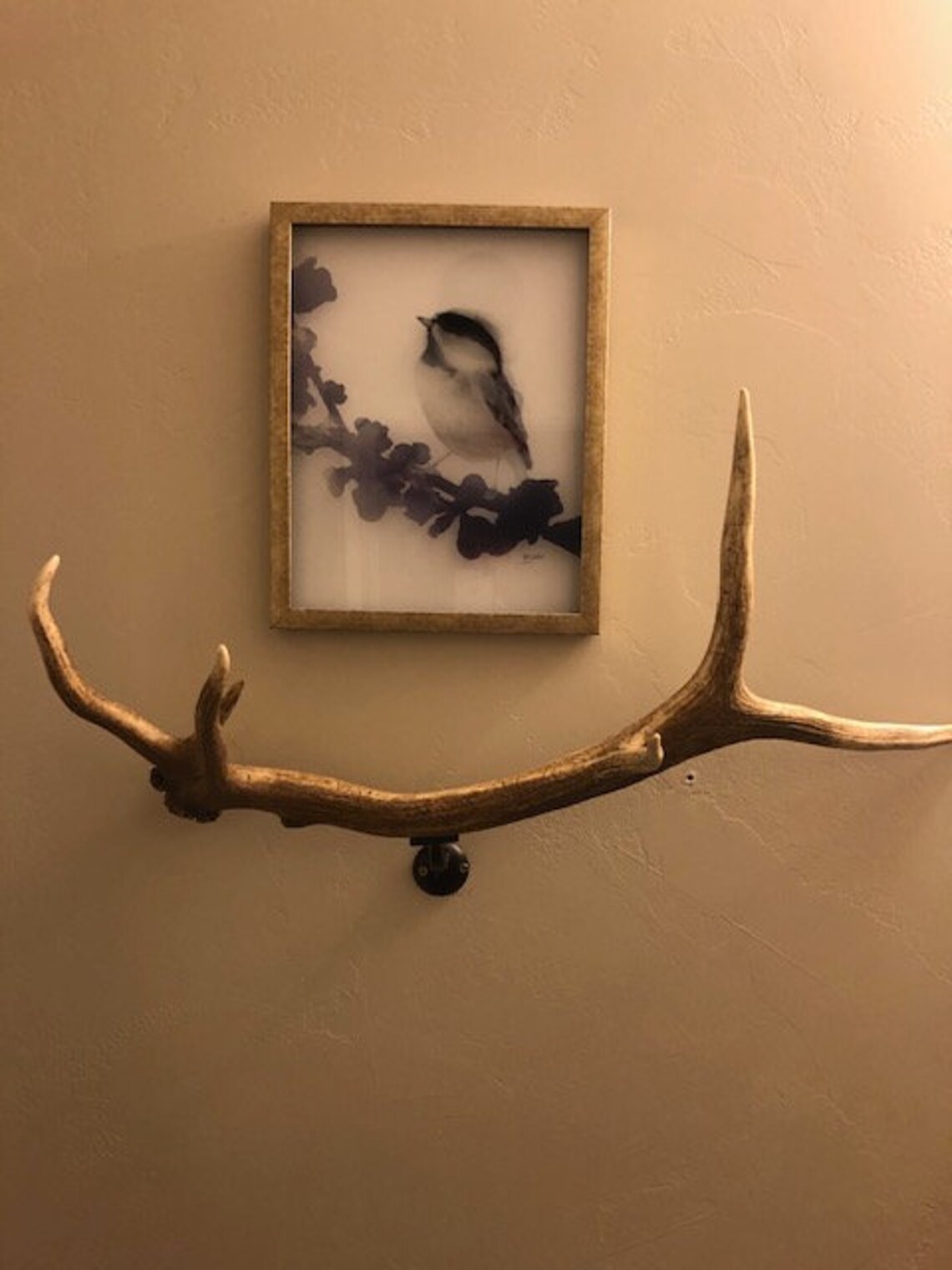 Real Elk Antler Towel Racks typical and non typical antlers Etsy