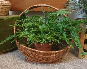 Vintage Wicker Plant Basket