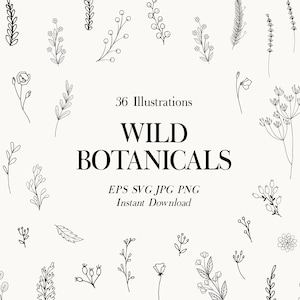 Botanische Clipart Hand gezeichnet Blumen Blätter, Blätter Zweig Frühling Dekorative Hochzeit Pflanzen Laub Sammlung Vektor Set PNG EPS SVG Ai