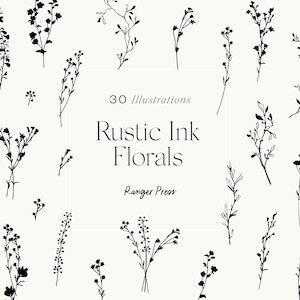 Botanische Clipart Hand gezeichnet Floral Blätter Blatt Blumen Zweig Frühling Dekorativ, Hochzeit Pflanzen Laub Sammlung Vektor Set PNG EPS SVG Ai