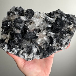 3.6 lb Specularite Black Hematite Rosette ~Statement Piece ~ Crystal Home Decor ~ Crystal Collector