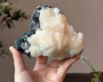 Flower Stilbite Cluster ~ India