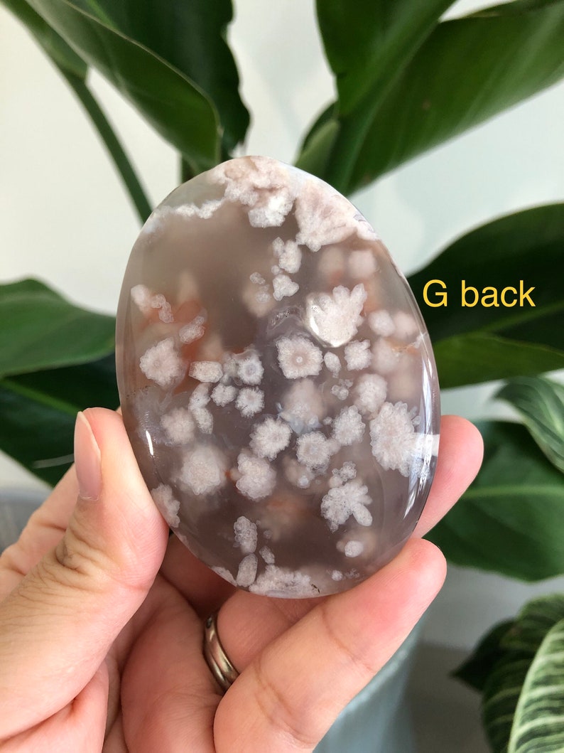 YOU CHOOSE Top Quality Flower Agate Palm Stone