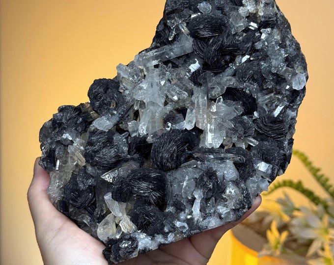 3.6 lb Specularite Black Rosette Specimen ~ Quartz Specimen