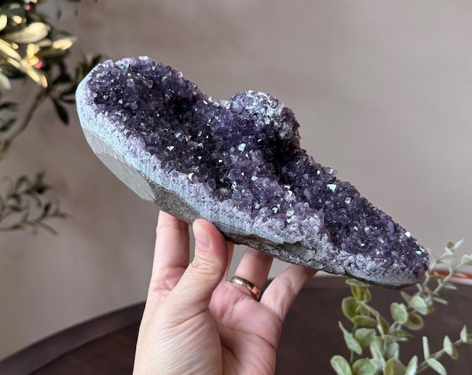 Amethyst Cluster ~ 3 lb