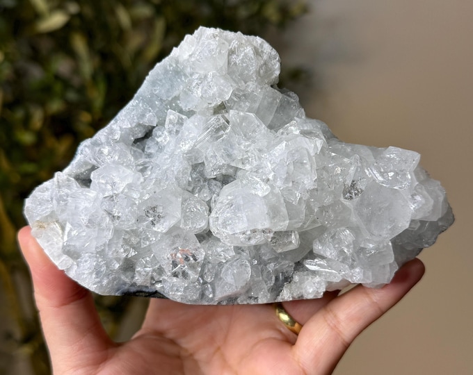 Apophyllite Specimen ~ India ~  1.2 lb